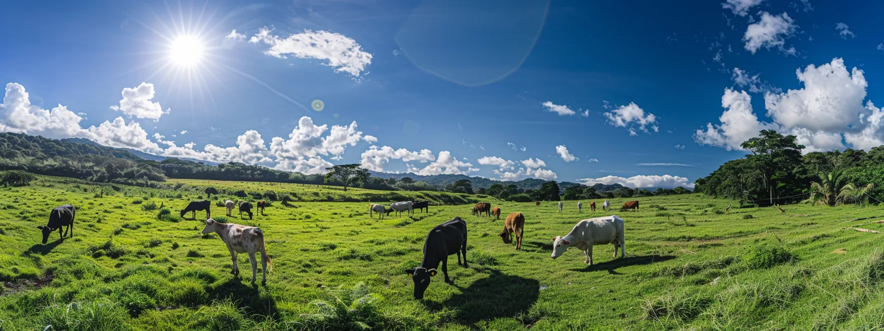 em uma fazenda durante a fase de alta do ciclo pecuário, vemos um rebanho saudável e forte pastando em campos verdes, enquanto fazendeiros conversam sobre parcerias estratégicas e inovações para maximizar a lucratividade.