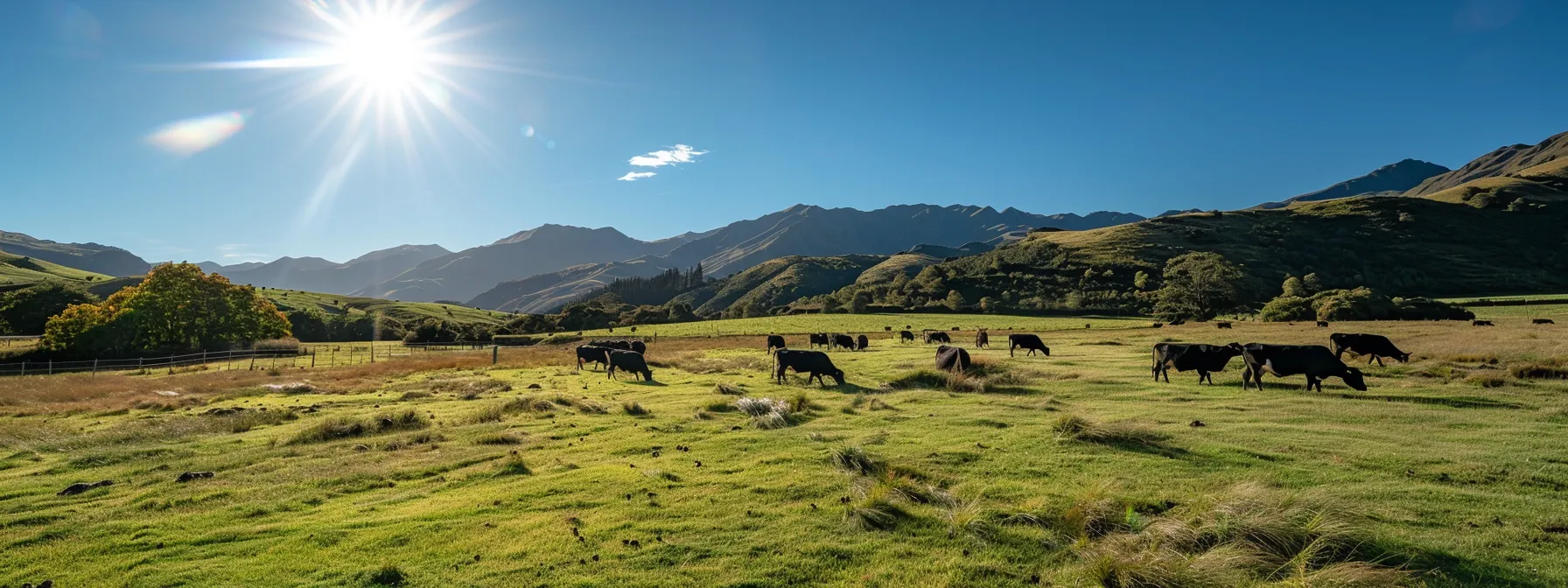 a herd of healthy, majestic cattle grazing peacefully under the bright sun in a well-maintained pasture during the breeding season.